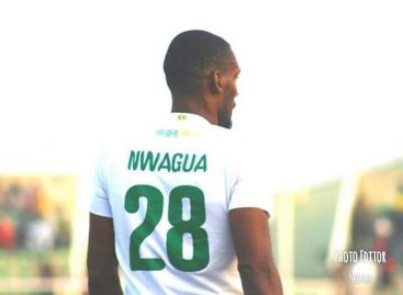 NPFL Super Six: Pillars striker, Nwagua optimistic of a continental slot