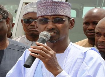FCT Area Council elections: Minister warns would-be trouble makers