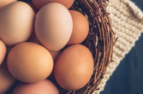 University Don reveals Benefits Of Egg Consumption that you never knew