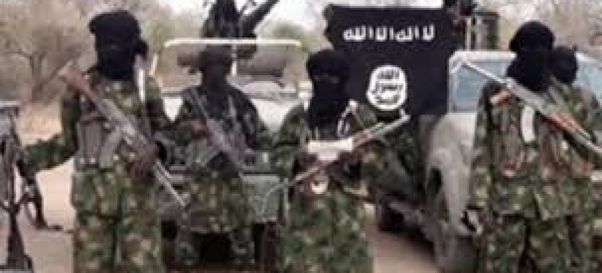 Six top Boko Haram/ISWAP Commanders surrender to Nigerian troops