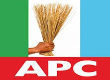 STOP MAKING A STORM IN A TEA CUP, APC BERATES PLATEAU PDP OVER GOVERNOR LALONG’S COMMENTS