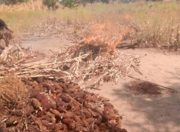 Several Boko Haram members killed, Logistic Warehouse destroyed by Operation LAFIYA DOLE