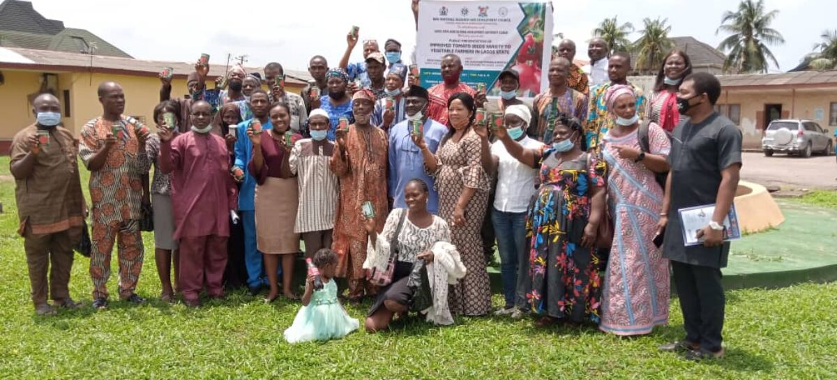 RMRDC in collaboration with LASG distribute tomato seeds to farmers
