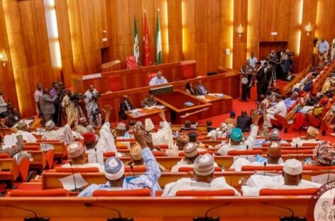 Parliamentary Group Lauds Tinubu’s Stance on Election of 10th Assembly Senate President, Speaker, Deputies