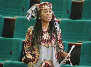 Insecurity, our greatest challenge- Nigeria delegation tells ECOWAS Parliament
