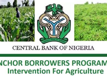 Anchor Borrower Programme: Enugu AFAN decries alleged late supply of farm inputs