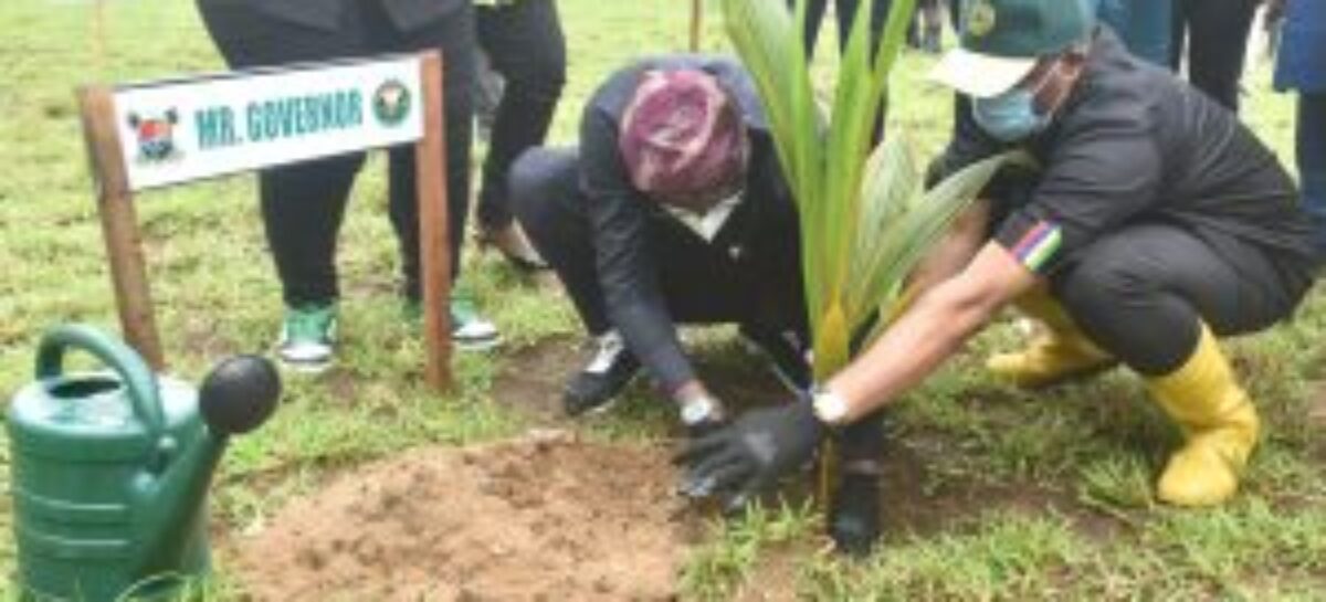 Sanwo-Olu urges residents against destruction of green infrastructure