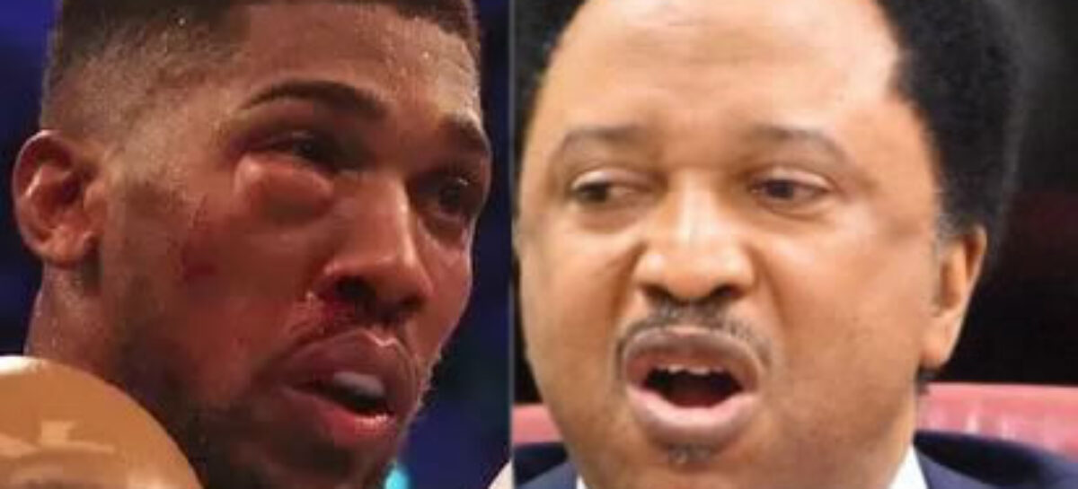 “Anthony Joshua Was Blessed, Until He Engaged The Priest Of Doom” – Shehu Sani