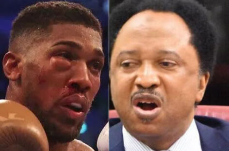 “Anthony Joshua Was Blessed, Until He Engaged The Priest Of Doom” – Shehu Sani