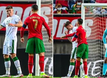 Why Ronaldo Was Not Sent Off After Slapping The Irish Player
