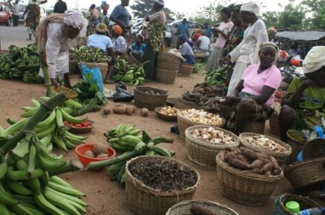 TSF Commends Federal Government’s Initiative to Address Food Shortage Across Nigeria