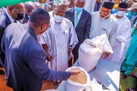 President Buhari launches wheat farming in Plateau