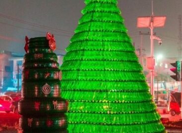 LAWMA, LASPARK build Christmas trees from recyclable items