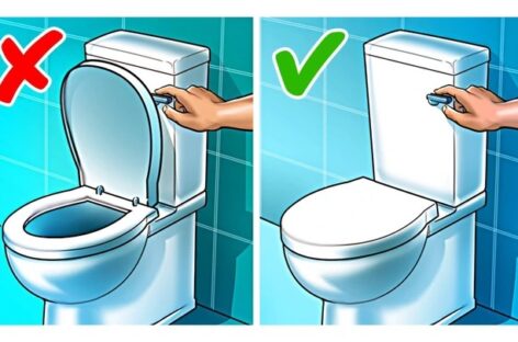 6 Things You should Not Do While Using The Toilet
