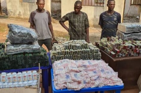 NDLEA intercepts 1.5million Tramadol tablets enroute Kebbi, Kano –spokesman