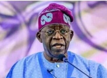Insult Is My Food And Medicine, I Am Not Complaining – Bola Tinubu