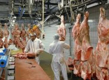 FCTA pledges to improve sanitary conditions of Abuja abattoirs