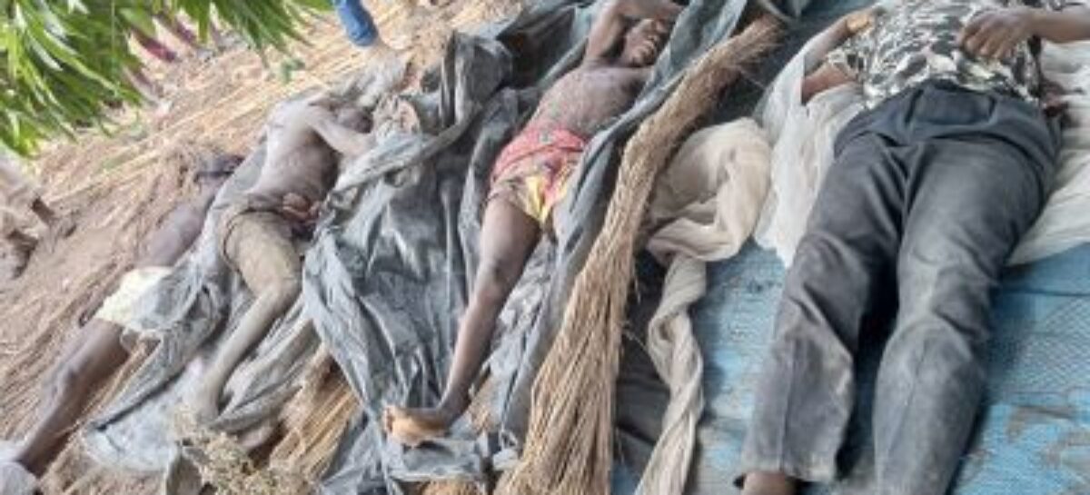 Fulani terrorists continue massacre of Benue farmers