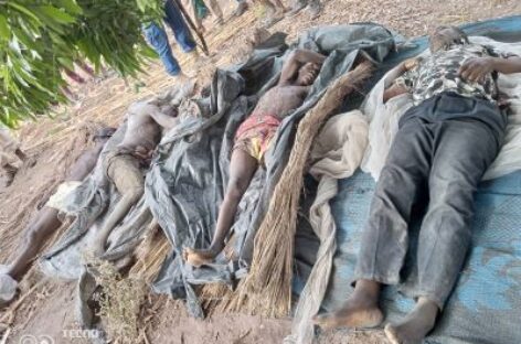 Fulani terrorists continue massacre of Benue farmers