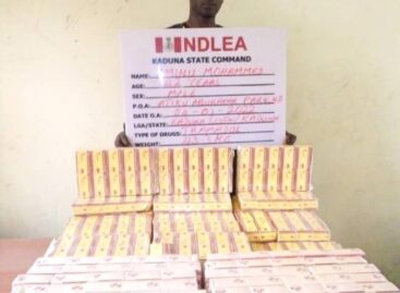 NDLEA recovers 294,440 Tramadol tabs, others in Delta, Bauchi, Ikeja