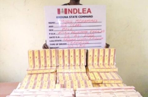 NDLEA recovers 294,440 Tramadol tabs, others in Delta, Bauchi, Ikeja
