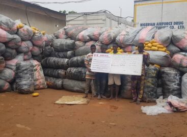 NDLEA intercepts 3million opioid caps at Lagos terminal; 8, 613kg Loud at Eko beach