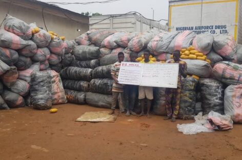 NDLEA intercepts 3million opioid caps at Lagos terminal; 8, 613kg Loud at Eko beach