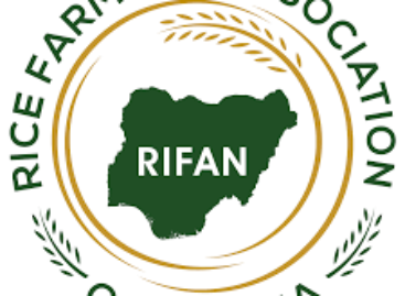 Rainstorm: RIFAN loses N30.4m paddy rice, fertilisers in Delta