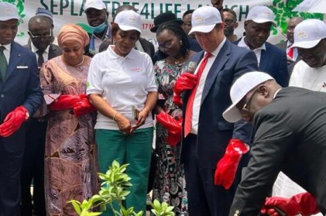 Seplat targets five million trees yearly to reduce carbon emission