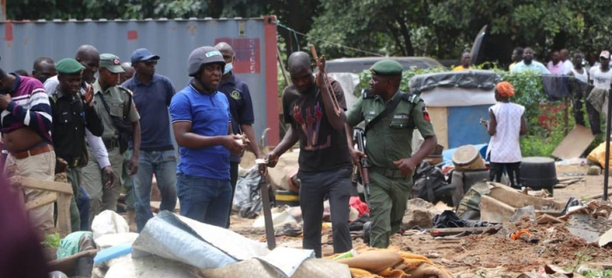 FCTA cautions Abuja natives against renting cashew plantations to scavengers