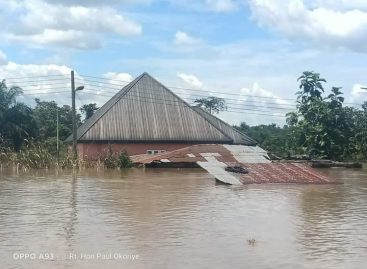 Floods: Stop disturbing FG, deploy ecological funds to help victims, Kpodoh advises Gov. Diri