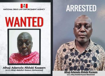 Wanted drug baron arrested as NDLEA nabs woman linked to Pakistani cocaine syndicate