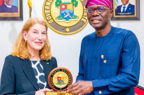 Clean Energy: Sanwo-Olu, Swedish Envoy Discuss Projects For Lagos Public Transport