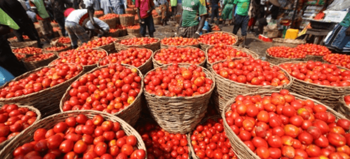 FCT housewives ditch tomatoes for stews as cost skyrockets