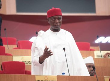 Ensuring Accuracy: The Legislative record of Senator Ned Nwoko in the 10th Senate- By Festus Alika