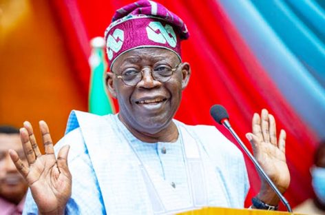 Tinubu got it right on new skills acquisition initiative at basic school level-TMSG