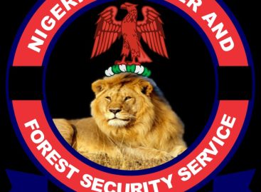 Anambra Hunters Capture Another Member of Kidnap Gang Behind Nimo Engineer Abduction