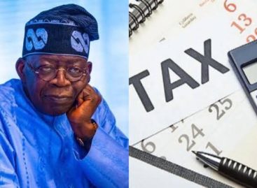 Tax reform bills: TDF hails NGF for embracing Tinubu’s economic reforms