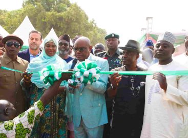 FG commits over N300B on development of FCT Area Councils – Wike