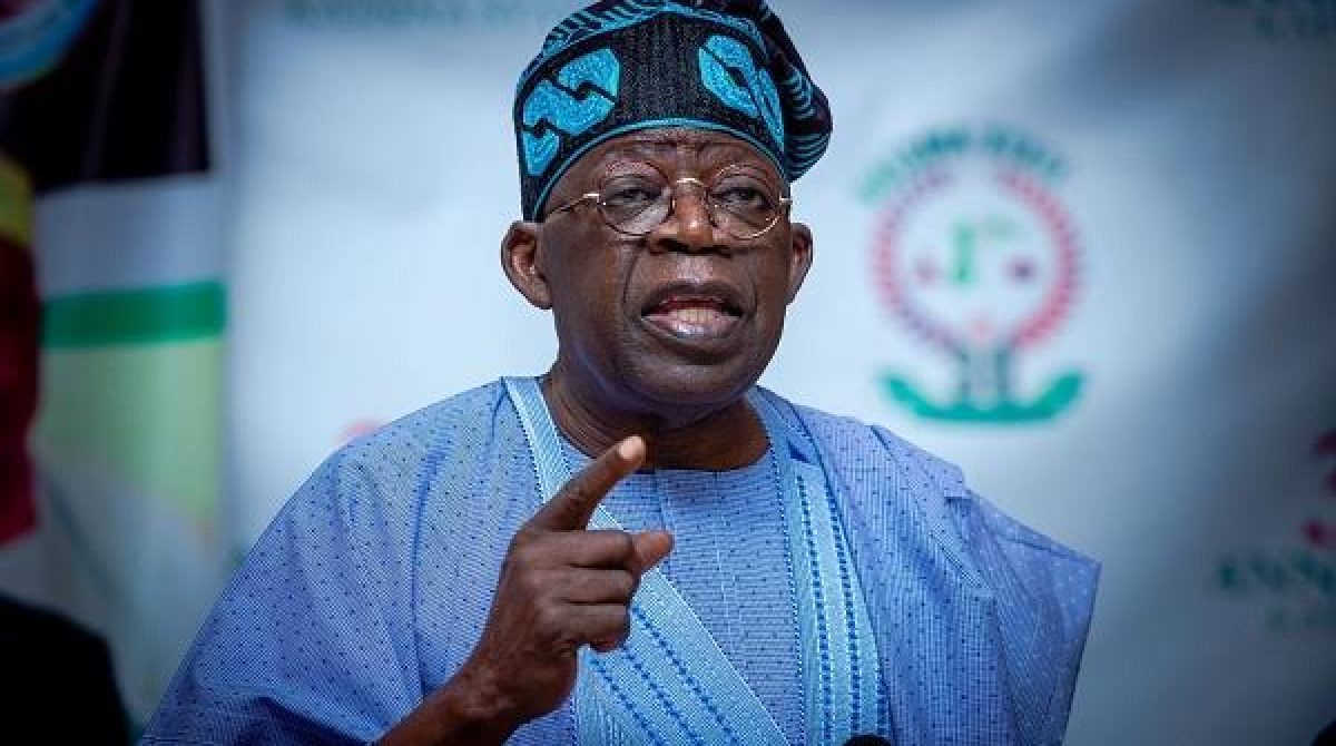 Tinubu’s policies building capacity, creating opportunities in digital economy-TMSG