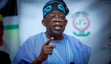 N6trn deregulation gains , another evidence of efficacy of Tinubu’s reforms – TDF