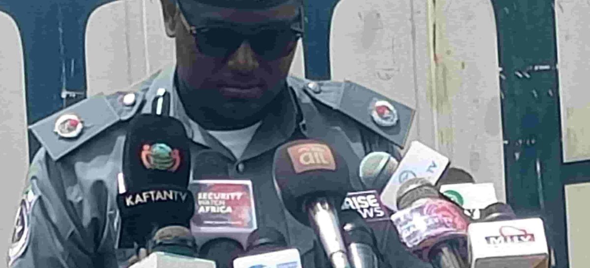 Donkey Genitals Seizure: Nigeria Customs Service Intensifies Crackdown on Wildlife Trafficking