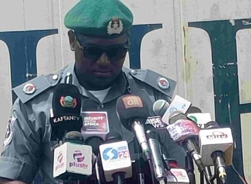 Donkey Genitals Seizure: Nigeria Customs Service Intensifies Crackdown on Wildlife Trafficking