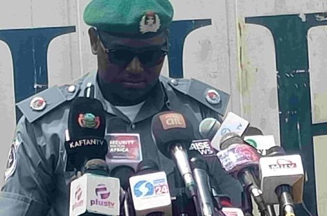 Donkey Genitals Seizure: Nigeria Customs Service Intensifies Crackdown on Wildlife Trafficking