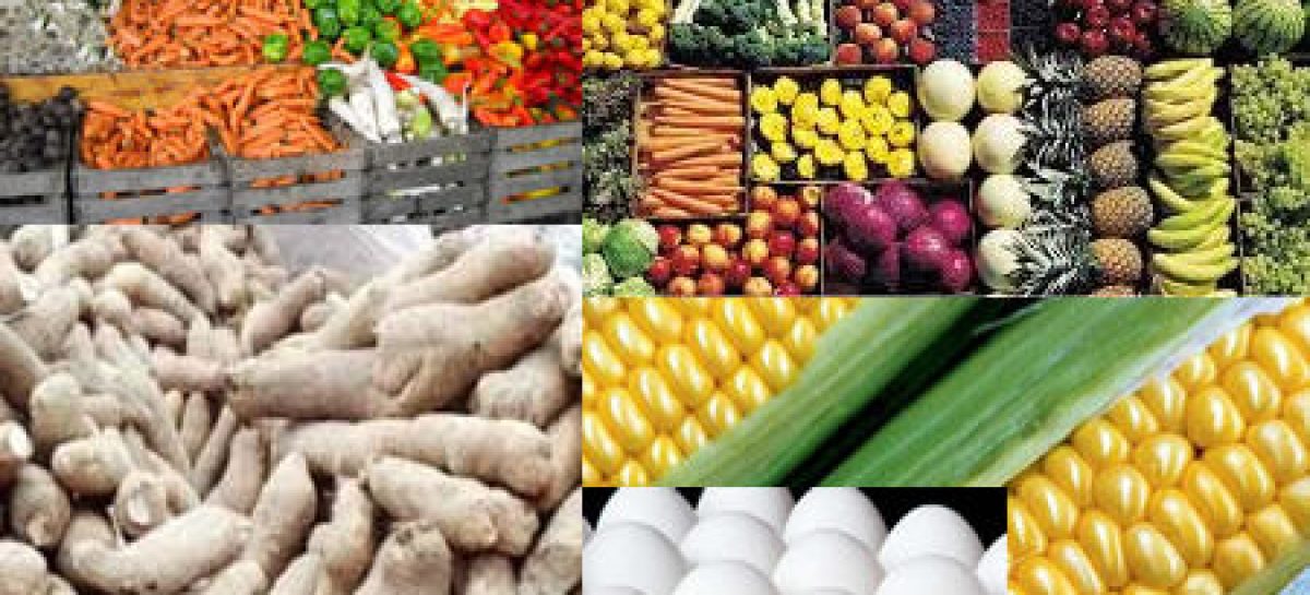 Kogi’s Community Gears Up For Transformative Agricultural Show To Boost Food Security