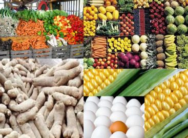 Kogi’s Community Gears Up For Transformative Agricultural Show To Boost Food Security