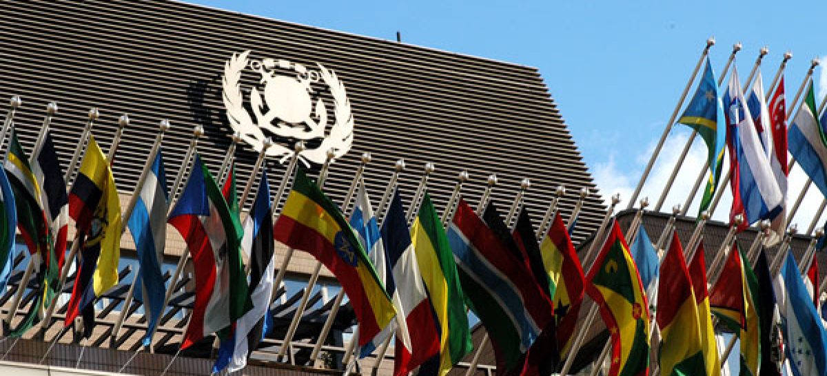 TMV gives kudos to Tinubu as Nigeria rejoins IMO council after 14 years