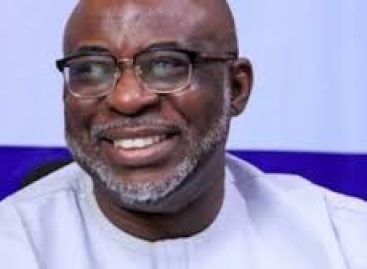 What Is Delaying the Kickboxing Federation Election? Why Is Olopade Insisting on Wilson Okon?