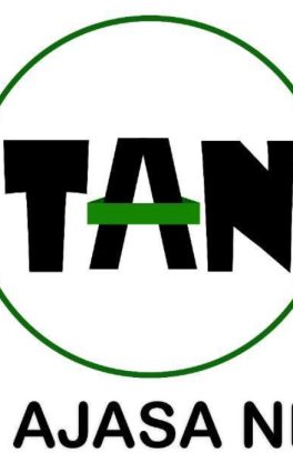 Princess Joy Idam Fires back at Senator Umahi