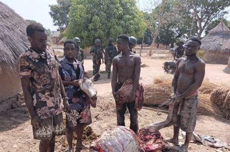 Troops Dismantle Criminal Networks in Benue Ahead of Farming Season